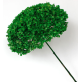 Green Dried Hydrangea | Wholesale Flowers